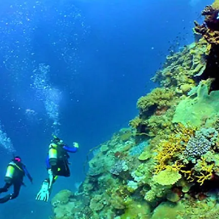 Old Town Center Walk To Apartament *