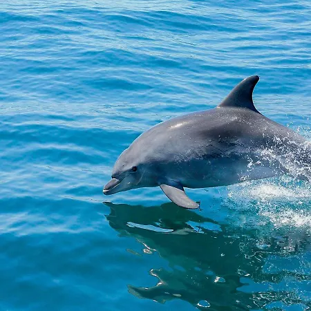 Old Town Center Walk To *